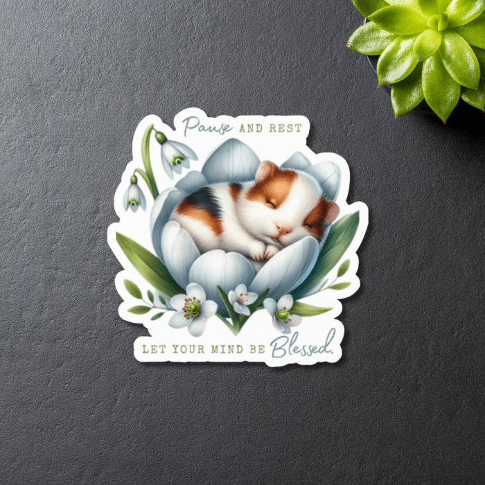 Cute baby guinea pig close sticker with inspirational quote