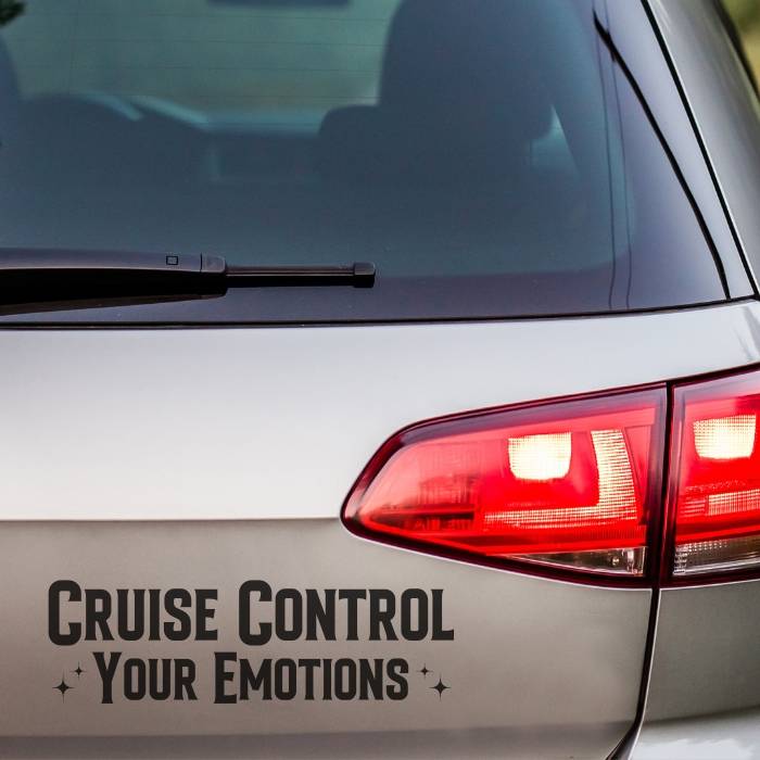 Vinyl Decals for Cars & Trucks - Mental Health Bumper Stickers