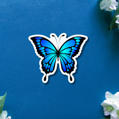 beautiful gradient butterfly on a blue background